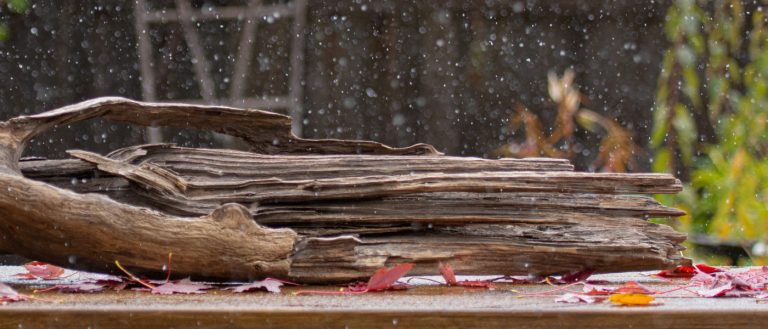 blurry snowflakes fall over a dim scene with a driftwood log and autumn leaves
