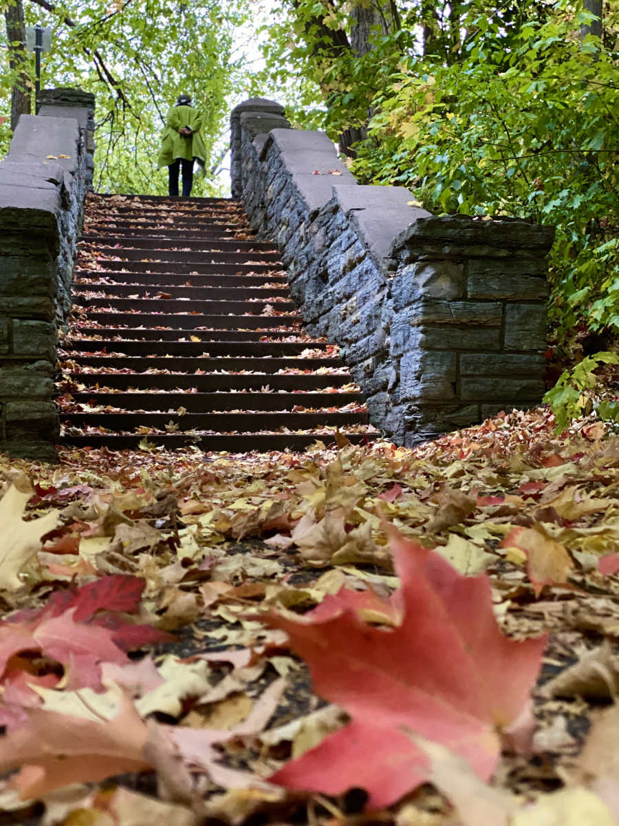 looking over autumn leaves on the ground, up a leaf-covered stone staircase with a person standing at the top