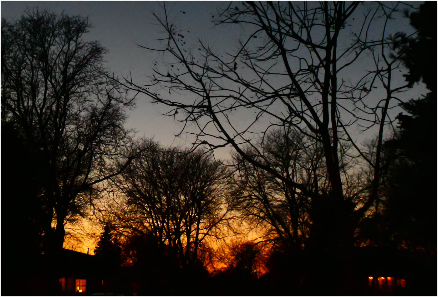 deep orange colors and gray sky at sunset with silhouettes of trees