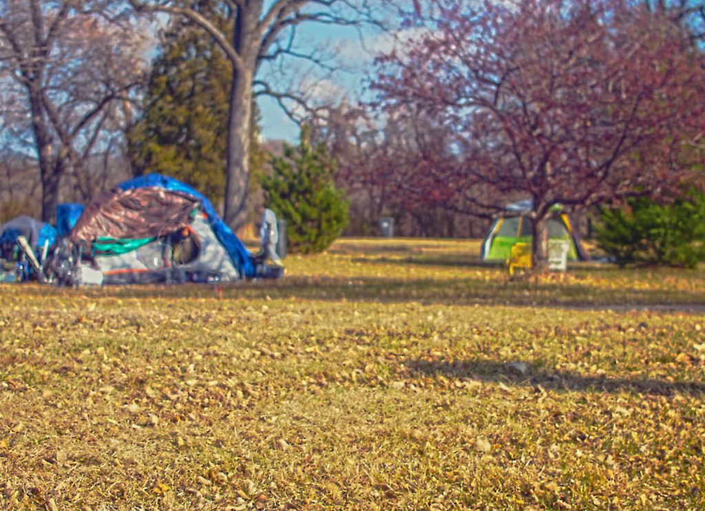 fuzzy photo of tents in a field with some trees in background, brown grass in foreground in focus