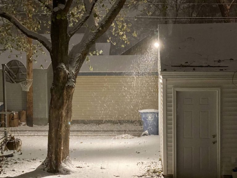 backyard scene at night with snow flurries under a yard light