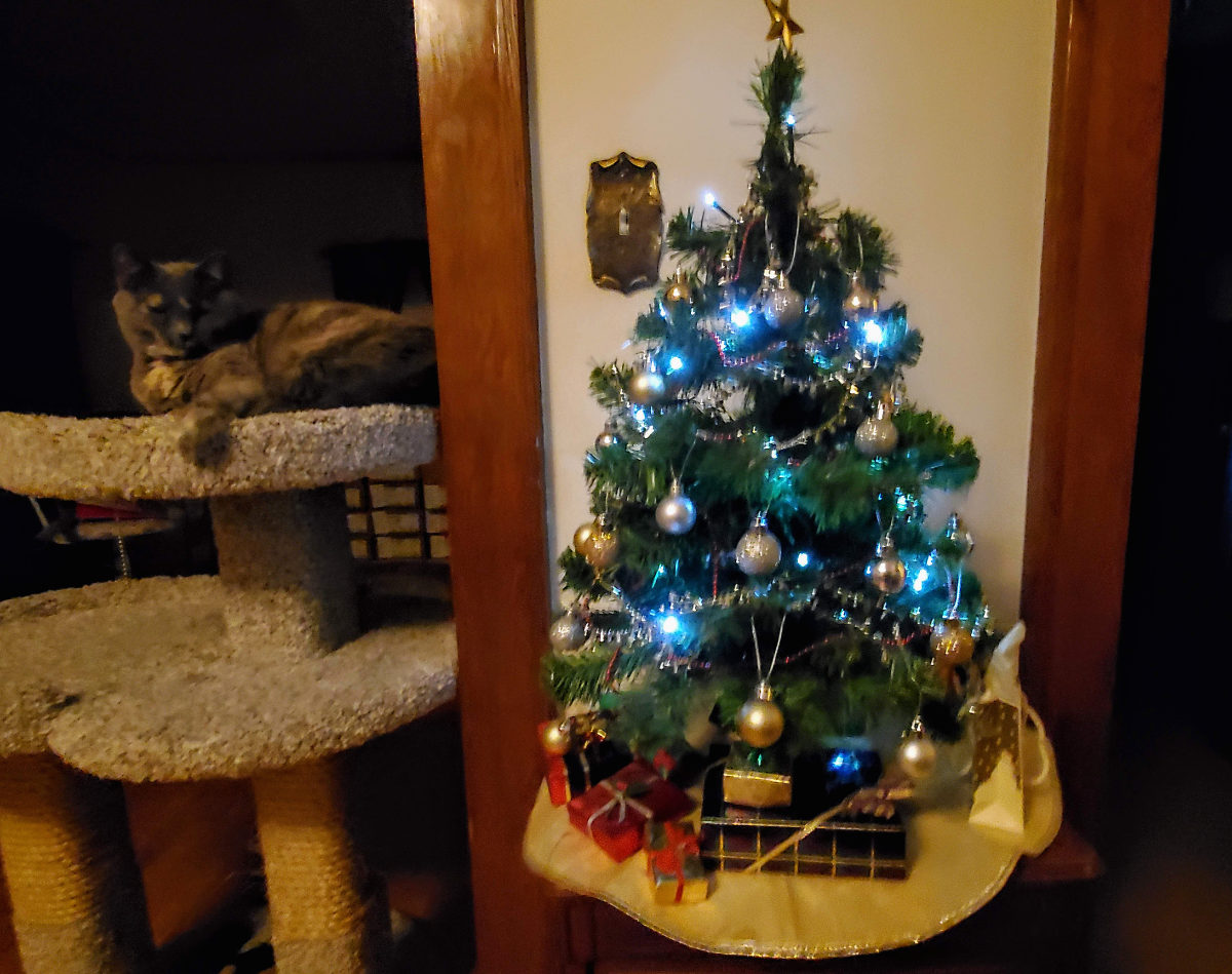 a table top christmas tree with blue lights with a cat perched aside looking towards it