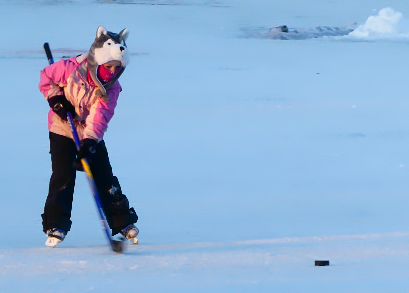 young girl with hot pink jacket skating with a hockey stick towards a puck on blu-ish white ice