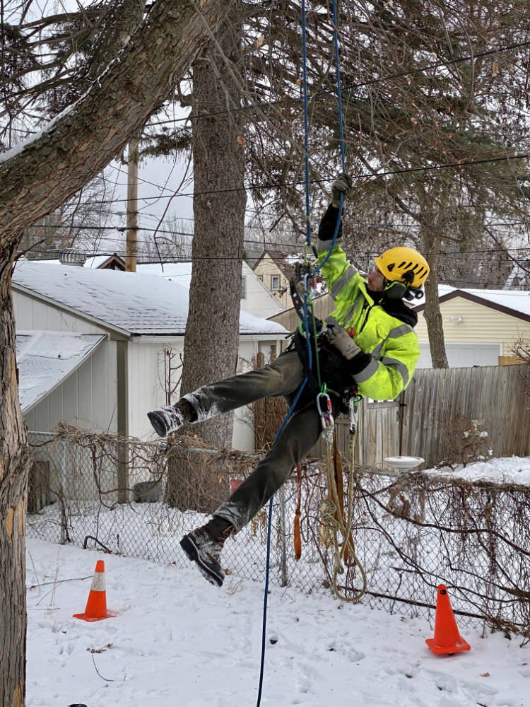 man hanging by ropes from a tree wearing safety gear on a gray winter day